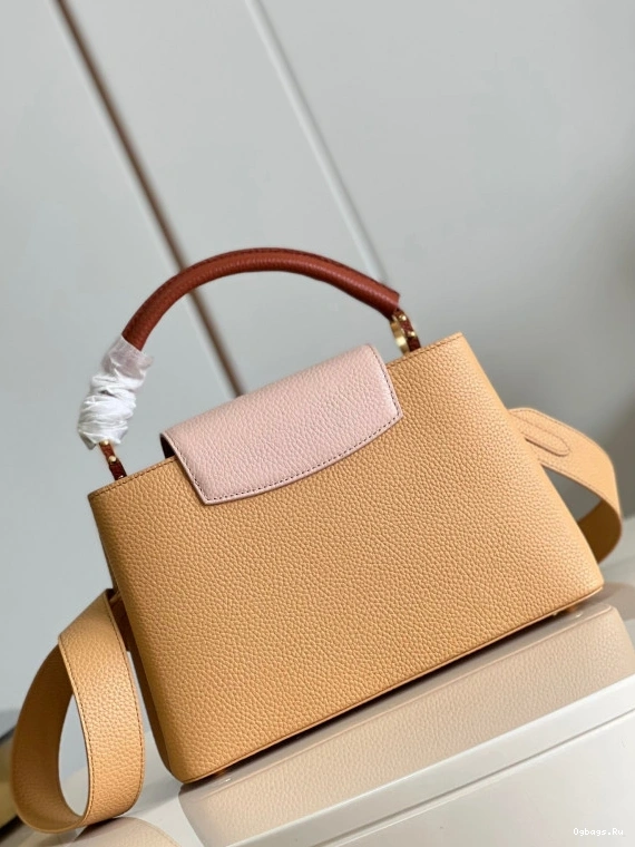 LOUIS VUITTON CAPUCINES MM 0420